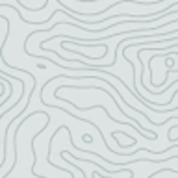 Meet your Posher, Gemma - Picture 1 of 1